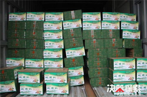 警民攜手 共克時艱 愛心企業(yè)為新野公安民警 輔警捐贈防護用品和生活物資